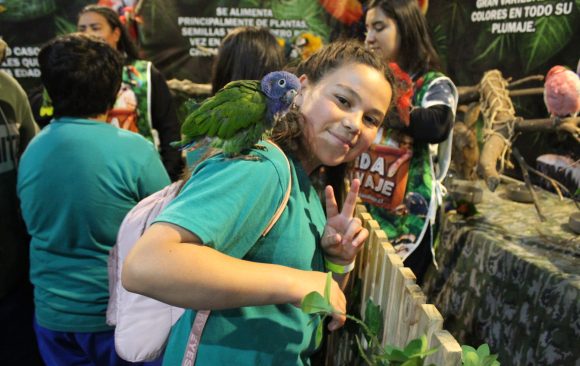 Salida Pedagógica: 5° básico a Expo Mascotas & animales
