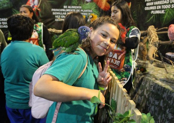 Salida Pedagógica: 5° básico a Expo Mascotas & animales