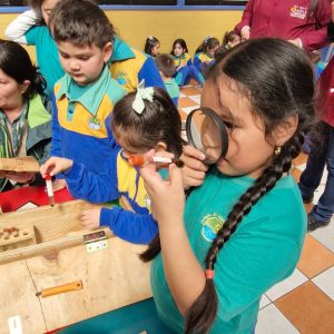 Proyecto interdisciplinario Nivel Transición y 1° básico «¿Cómo crecen las plantas?