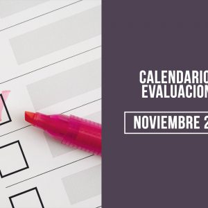 Calendario de Evaluaciones Noviembre 2024