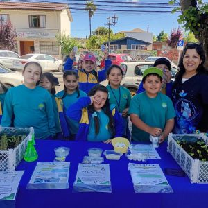 Feria medioambiental 